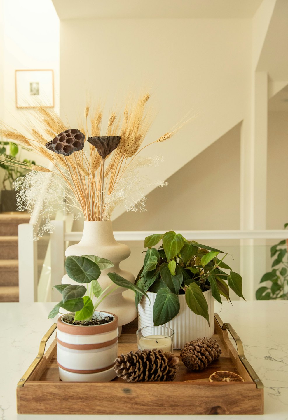 Natural home decor items arranged on a wooden serving tray.